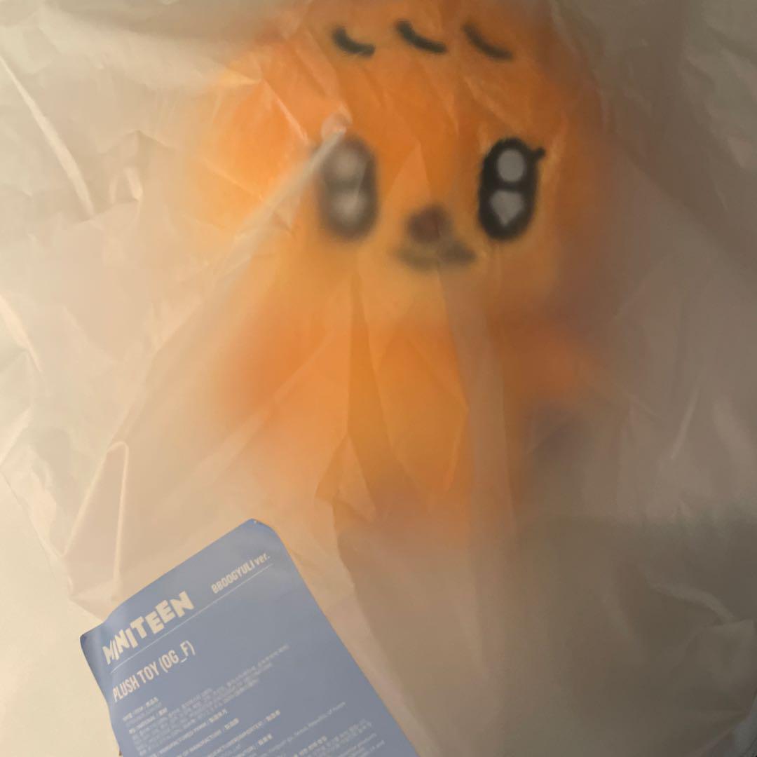 

[USED] SEVENTEEN Seungkwan MINITEEN Pop-up Plush Toy