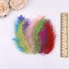 50Pcs Cross-Border Turkey Hairy Tail Plush Feather Colored Feather Dream Catcher Feather Light Bobo Ball Feather