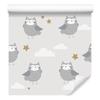 Owls In the Clouds Wallpaper for Living Room and Bedroom 50x1000