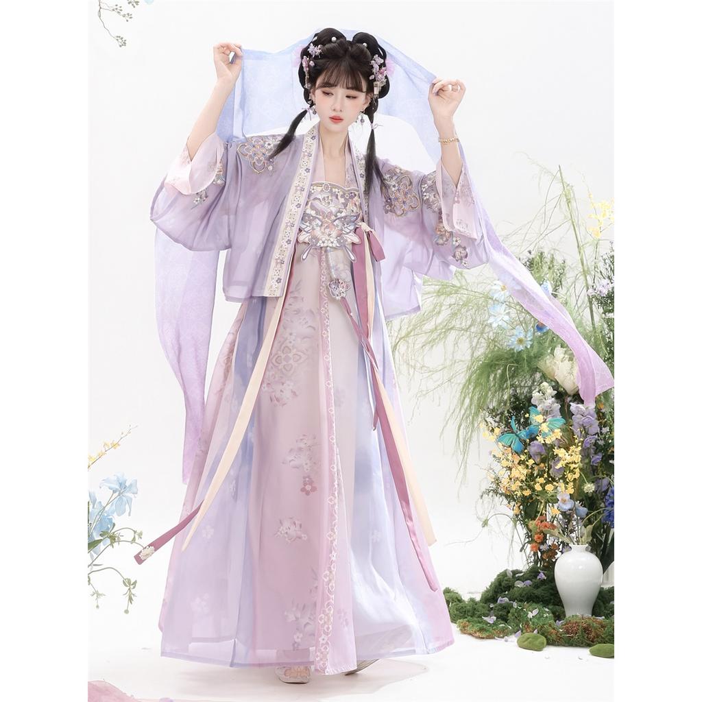 Women Tang Dynasty Hanfu Set Embroidered Qi Xiong Ru Qun Traditional Chinese Dress Daily Cosplay Outfit