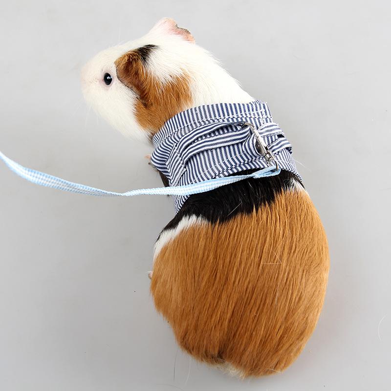 Ji Zaizai Guinea Pig Two-legged Clothes Spring and Summer Cotton Mink Hedgehog Small Pet Chest Harness Guinea Pig Out Traction Rope