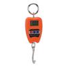 Portable Electronic Scale High Accuracy Digital Hanging Scale 200kg Weight Capacity Crane Scale for Food Luggage