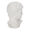 DECORATION white head of David made of plastic CLASSIC