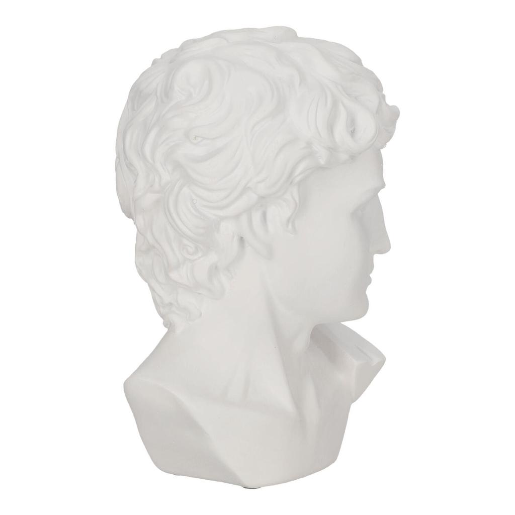 DECORATION white head of David made of plastic CLASSIC