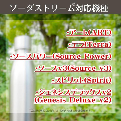 OUTDOOR PRODUCTS Vacuum-Sealed Carbonated Sports Bottle, 530ml, Pale Green, 314-206