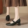 High heeled shoes for women in the spring and summer of 2025 thick heel new style square toe Mary Jane shoes
