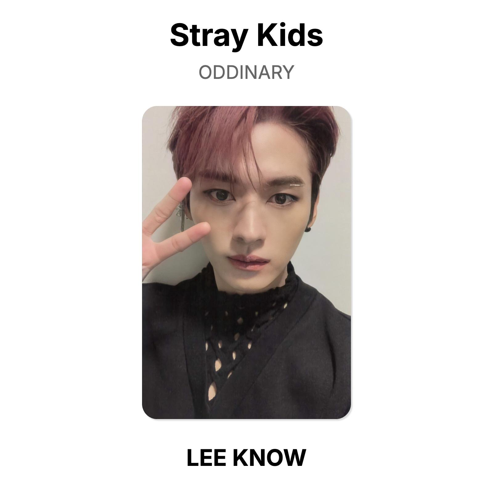 Официальная фотокарточка Stray Kids ODDINARY LEE KNOW beige