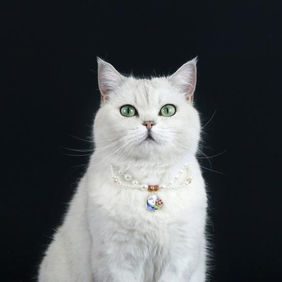 Faux Pearl Pet Collar for Dogs Cats Double-layer Beaded Necklace with Enamel Pendant for Pet Dress-up Jewelry Accessories