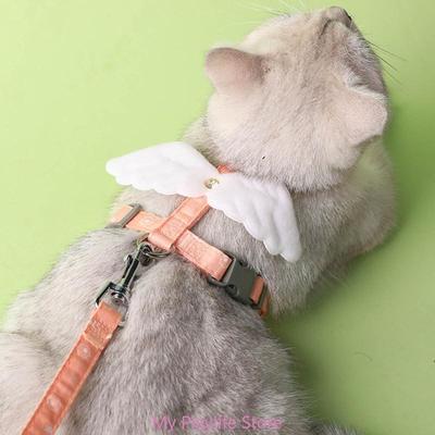 Kedi – Kedi Boyunluk ve Tasmaları