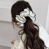 Large Big Set Korean Hair Accessories for Women Girl Bands Elastic Rubber Scrunchies Vintage Popular Catches Leading Fashion New