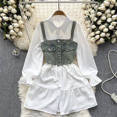 Korean Series Wear Age-Reducing Two-piece Set Top Retro Short Denim Vest Fashionable All-Match Mid-Length Shirts Set
