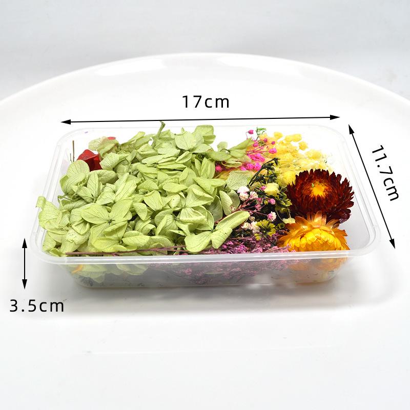 Handmade DIY Kit: Natural Preserved Flowers Variety for Valentine's Day Gift Bouquets