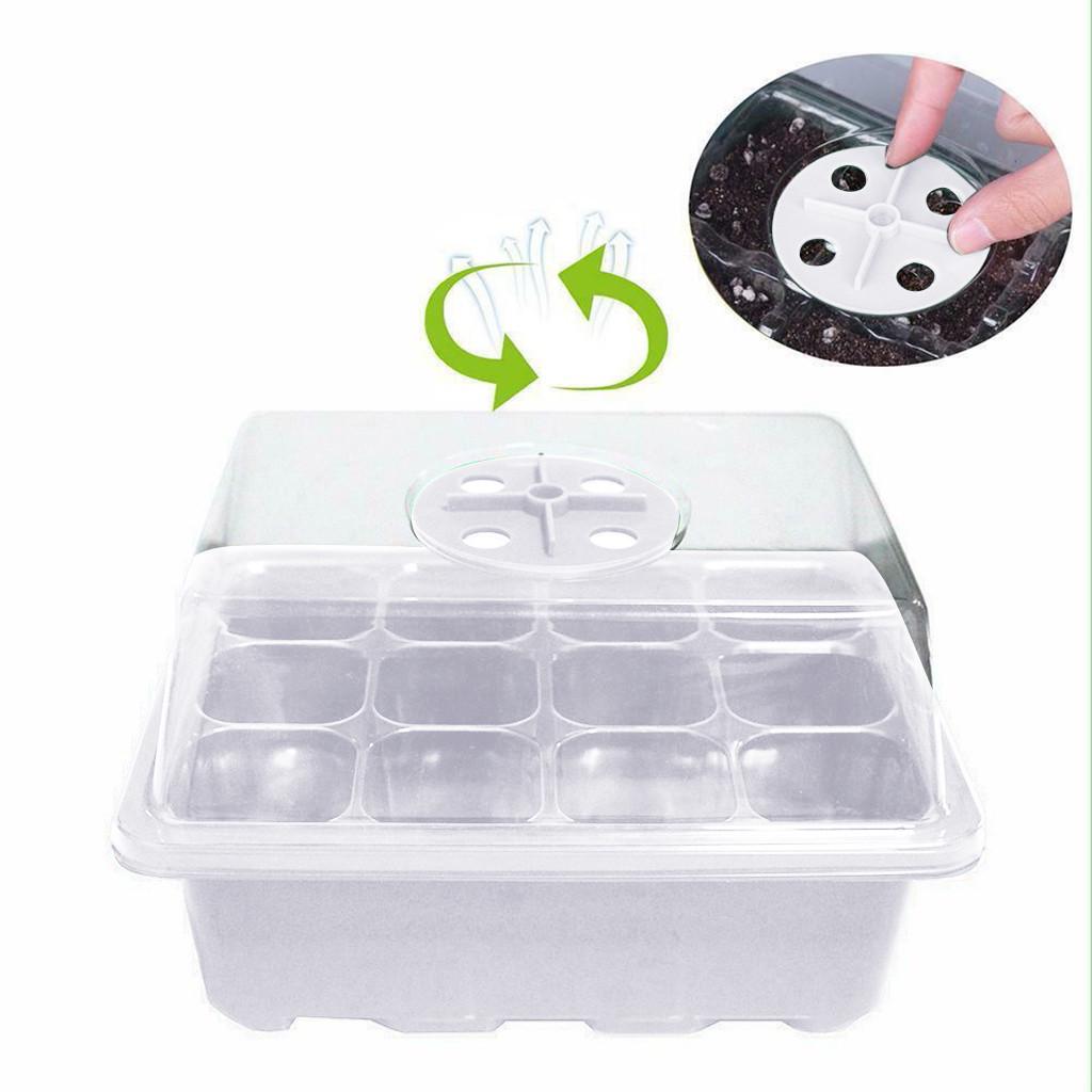 12 Hole Plant Seed Grow Box Nursery Seedling Starter Indoor Garden Yard Tray Hot Green House Seeding Box with Hole Seedling Box