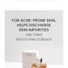 ONE THING - Houttuynia Cordata Extract Toner Jumbo