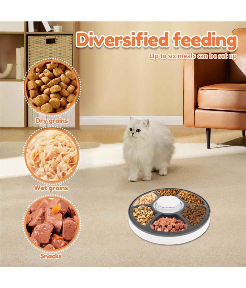 Dry Wet Food Cat Feeder with Timer 6 Meals Pet Food Auto Feeder Battery Powered Fresh Food Dispenser for Domestic Pets