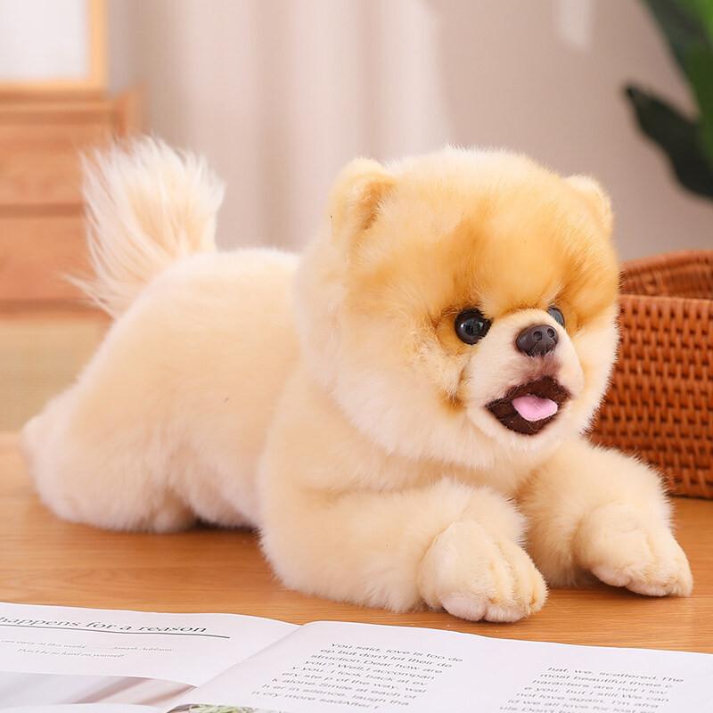 Fluffy Pomeranian Plush Toy Cat Doll Car Ornament Cute Kitten Pillow Pacifying Doll