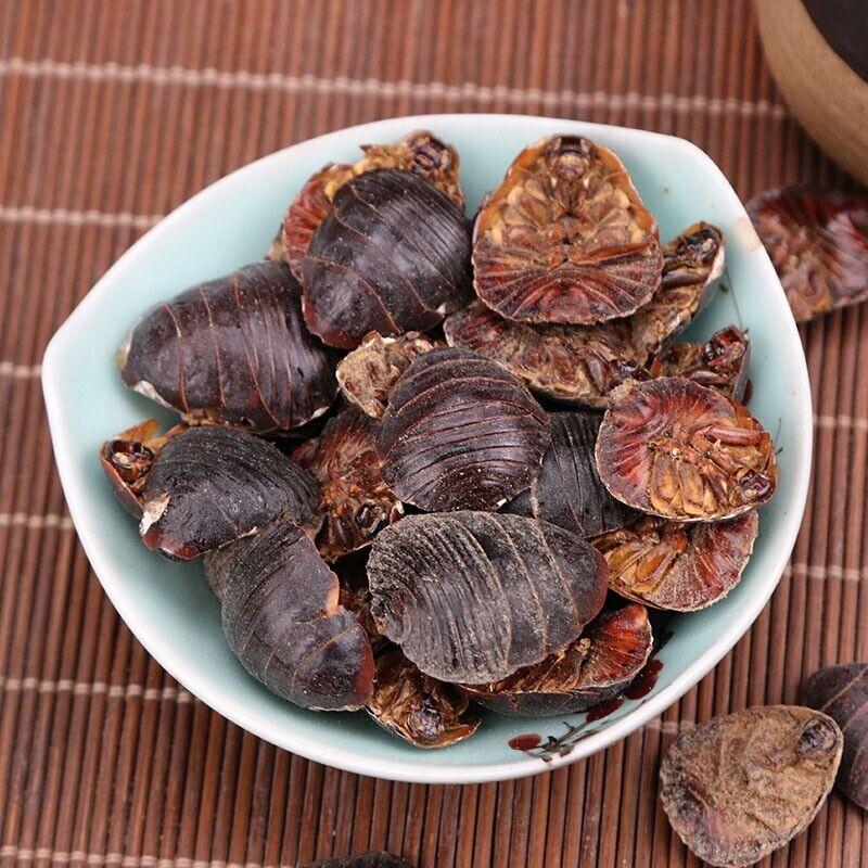 Earthworm Powder Tea Chinese Herbs High Quality  TU YUAN Powder  500g