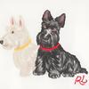Polo Ralph Lauren T-skjorte FW24 Hundetrykk Bokstavlogo Broderi Rund Hals Langermet Barn Topper Hvit 312951031-001