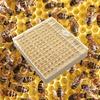 1 Pcs Nicot Queen Bee Rearing System For Beekeeping Plastic Nicot Cage Tools