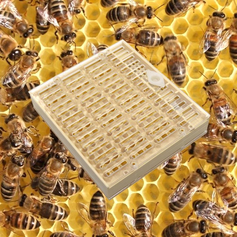 1 Pcs Nicot Queen Bee Rearing System For Beekeeping Plastic Nicot Cage Tools