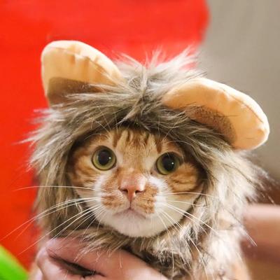 Lion Mane for Cat Dog, Halloween Cat Costume Lion Mane, Wig Lion King Hat Cosplay, Kitten Outfit for Halloween Holiday Party