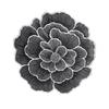 Sottopiatto Fiore di Loto Metallico Impermeabile Resistente al Calore Antiscivolo Per Tavolo da Pranzo Decorazione Matrimonio Festa