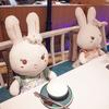 Cute Bunny Plush Toy Tianyuan Flower Cloth Dress Rabbit Princess