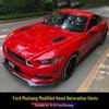 15-17 Ford Mustang Custom Hood Decoration Panel