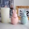 3D Bunny Egg Candle Silicone Mold Easter Resin Casting Mould for DIY Candle Making Clay Craft Plaster Home Decoration