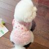 Adorable Ice Silk Fluffy Pet Dress for Dogs and Cats