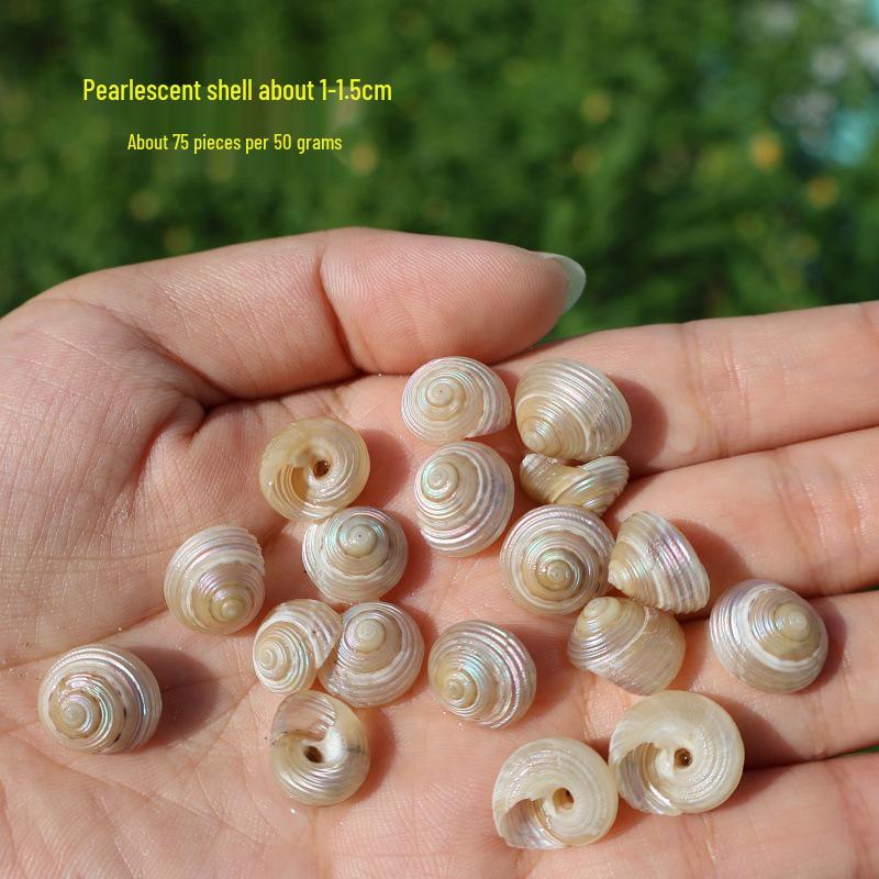 Handmade Seashell & Starfish DIY Photo Frame and Fish Tank Decoration
