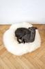 Round Natural Sheepskin Pet Bed - White 60 cm