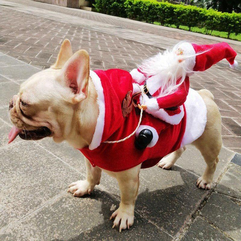 Lille Stor Hund Julemand Cosplay Kostume Til Julekarneval Kæledyrskostumer Beklædning Fest Udklædningstøj Hundekostumer