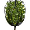 Black Breathable Plant Net Plant Cover Zipper Garden Cover Fruit Tree Net 3x4 Meter Size Easy Installation Design