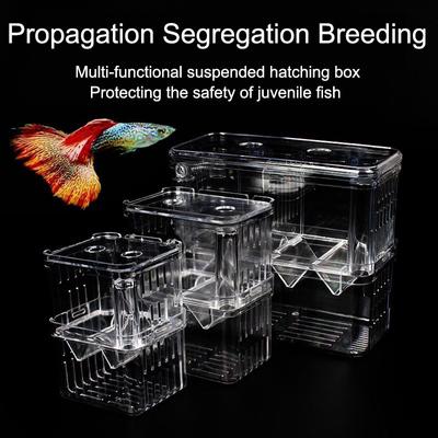 Peacock Fish Breeding Box Fish Aquarium Acrylic Isolation Box Fish Tank Hatchery Incubator Breeder Box