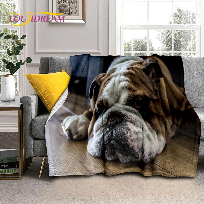 Cartoon French Pit Bull Dog Pet 3D Blanket,Soft Throw Blanket for Home Bedroom Bed Sofa Picnic Travel Office Cover Blanket Kids