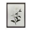 Jasmine Branch Jasmine Branch, 30X40 Cm, Frameless, 230 Gsm Matte Paper