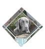 Labrador Retriever – Crystal Cube with a Photo, Photo of a Horse In Crystal |