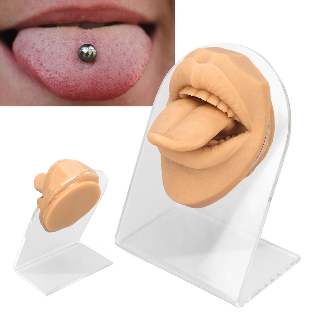 Modelo de lengua humana, silicona suave, soporte acrílico realista, modelo de boca para exhibición de joyería