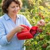 Berry Picker Comb Rake,Plastic Blueberry Picker Scoop Fruit Picker Tool,Blueberry Rake Scoop,Handheld Berry Harvester Tool