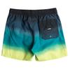 Billabong All Day Fade 16" Shorts, Mens green Swim shorts