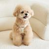 PU Leather Dog Harness and Leash Set Pet Harness for Small Dogs Teddy Bichon Comfortable Dog Harness Vest Leash Pet Supplies