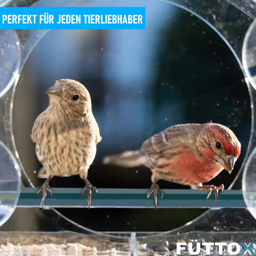 FÜTTOX Bird House Bird Feeder Bird Feeder Feeder Feeder
