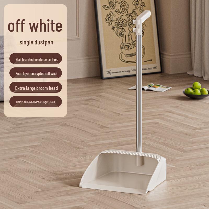Household Dustpan