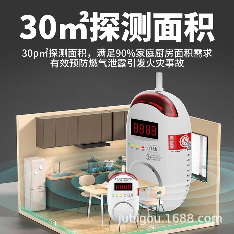 Battery-Powered Indoor Carbon Monoxide and Gas Detector