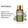 PHATOIL 5 ml reines ätherisches Patchouli-Pflanzenöl für Spa-Massagen, Baden, Hautpflege, lindert müde Luftbefeuchter, Luftreiniger, Rosmarin-Duftöl