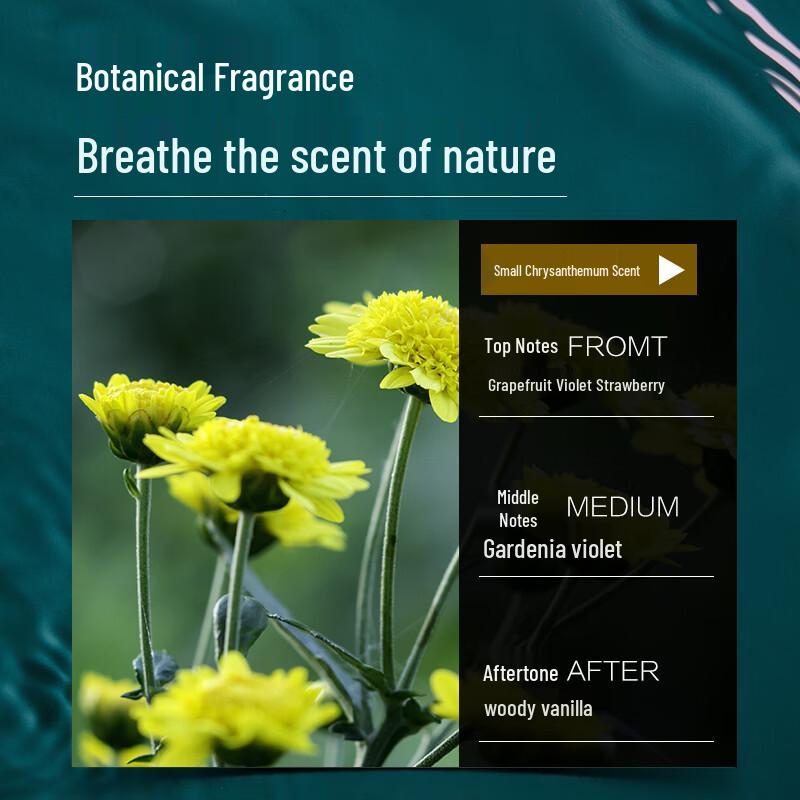 Boty Seaweed Probiotic Anti-Dandruff Shampoo