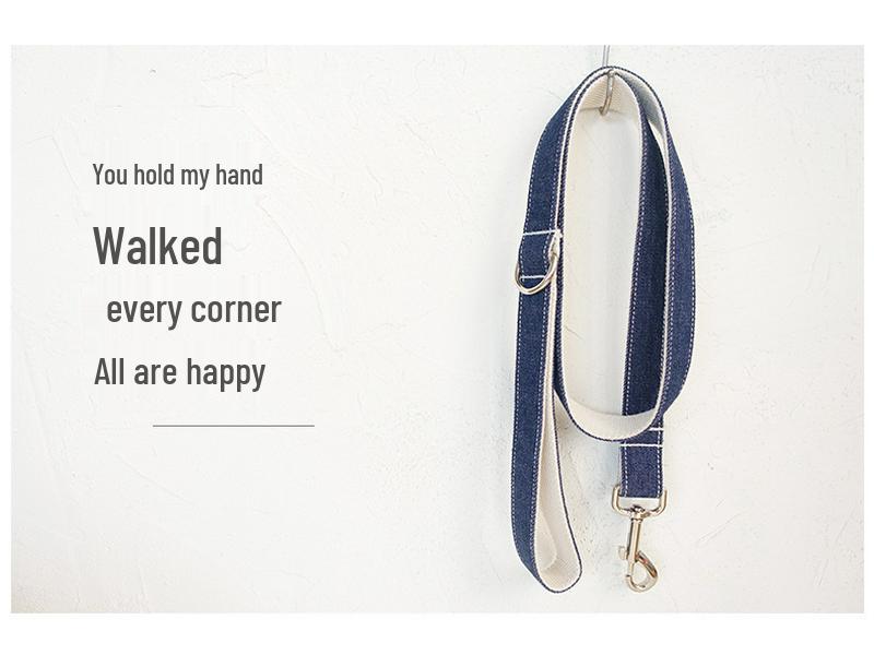 Custom Explosion-Proof Dog Leash and Collar Set