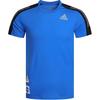 T-Shirts Herren Blau Rundhals Moderat GP5804