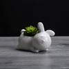 Creative Home Gardening Ceramic Succulent Flower Pot, Cute Desktop Potted Plant New Animal Ceramic Flower Pot Ornament